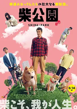 六月婷婷综合网