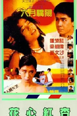 阿斯顿历险记