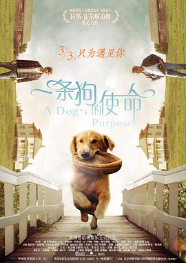 国产毛片在直播一区二区