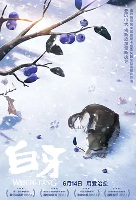 国产精品大片免费观看